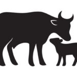 Secteur agricole : le point sur les aides en juin 2026