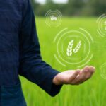 Agriculture : un droit à l’essai effectif !