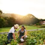 Ajustement de droits à paiement de base : quelques précisions pour les exploitants agricoles…