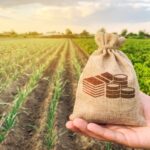 Jeunes agriculteurs : du nouveau du côté des exonérations sociales !