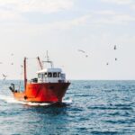 Exonération partielle d’impôt sur le revenu des marins pêcheurs : pour quel montant ?
