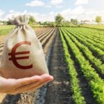 Aides à l’installation des jeunes agriculteurs : précisions sur les sanctions