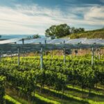 Simplification de la vie économique : faciliter l’innovation industrielle