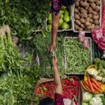 Loi sur la stabilité économique et la compétitivité du secteur agroalimentaire : quelles nouveautés ? 