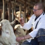 Agriculture : le point sur les épidémies