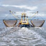 Déclaration des activités de pêche : passage à la déclaration électronique ?