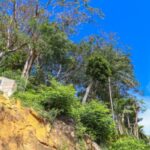 Mayotte : de nouvelles dérogations pour accélérer la reconstruction