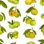 Garcinia cambogia : une interdiction temporaire toujours d’actualité ?