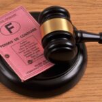 Vérif Permis : simplification du contrôle