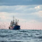 Aide financière liée au carburant : séance de rattrapage pour les entreprises de pêche