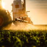 Prosulfocarbe : herbicide toujours autorisé, mais plus encadré