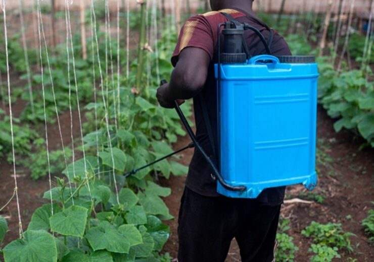 Isa,,A,Farmer,Applies,Pesticide,To,A,Month-old,Cucumber,Crop