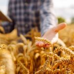 Cotisations agricoles : du nouveau pour le calcul en 2027