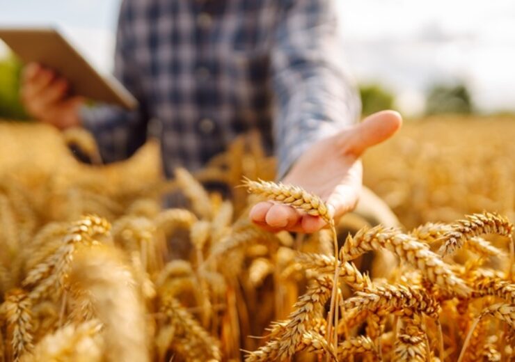 Smart,Farm,And,Digital,Agriculture.,Inspect,A,Grain,Field.,Farmer