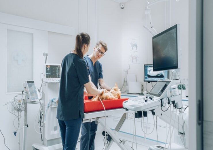Veterinarian,Using,Sonography,To,Examine,A,Pet,Maine,Coon,With