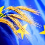 Bonnes conditions agricoles et environnementales : une nouvelle définition de la haie