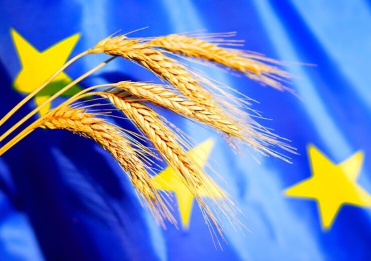 Wheat,On,European,Union,Flag,Background.,Eu,Agricultural,Policy,,Food