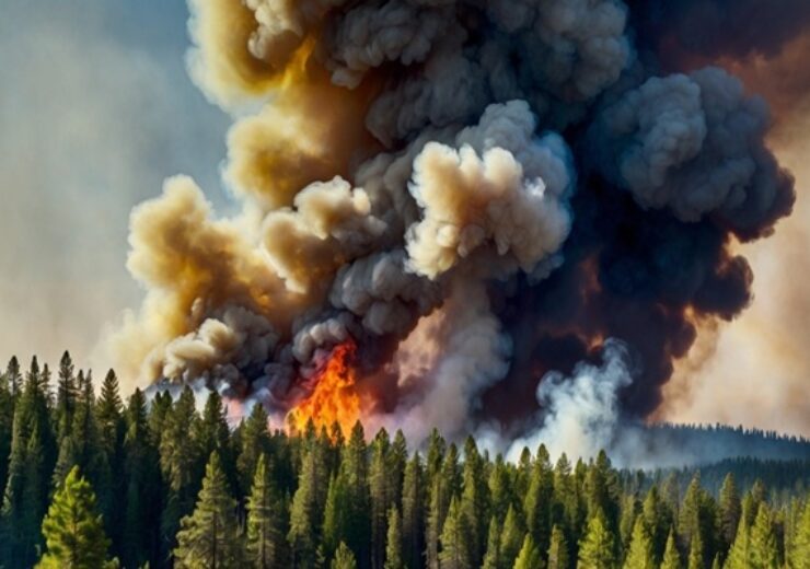Fire,In,The,Forest.,Wildfire