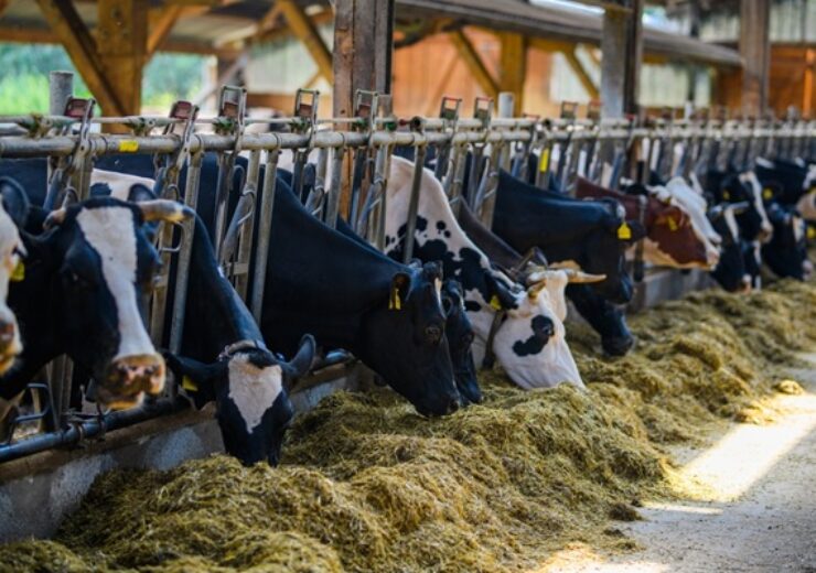 Cow,At,Milk,Farm.,Cow,Factory.,Agriculture,Industry,,Farming,,People