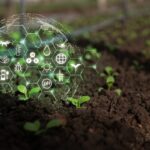 Agriculture : qui pilote la stratégie nationale d’installation et de transmission ?