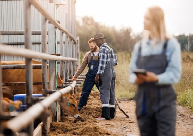 Vet,Doctor,Inspection,Of,Health,Of,Cows,On,Livestock,Industry.