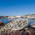 Marins de méditerranée : nouvelles mesures d’accompagnement