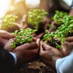 Soutien aux exploitations agricoles en difficultés : des aides possibles